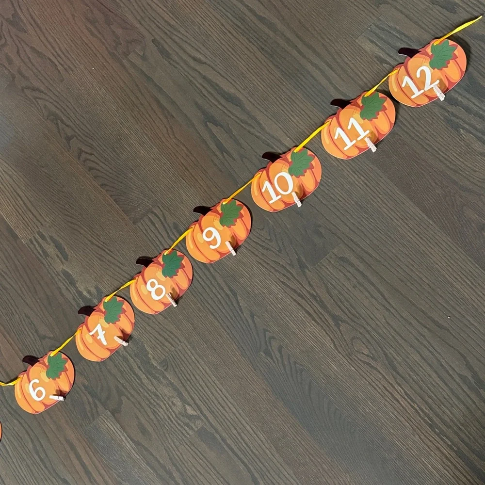 Pumpkin 1st Birthday Milestone Banner – Monthly Baby Photo Banner
